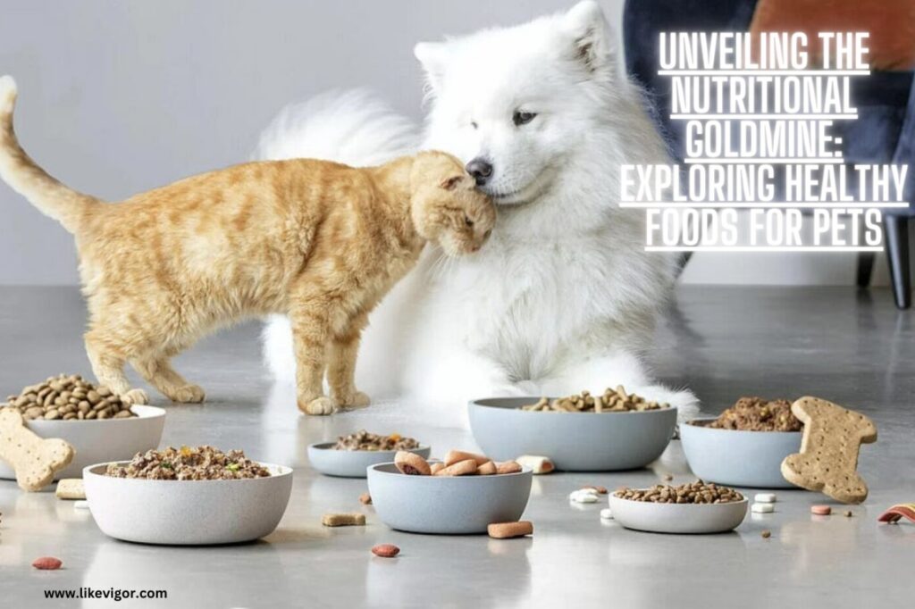 Unveiling the Nutritional Goldmine: Exploring Healthy Foods for Pets