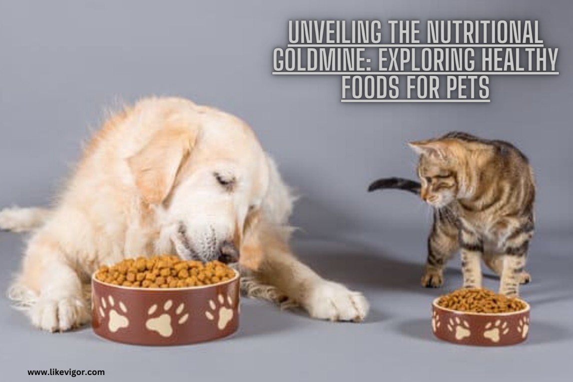 Nutritional Goldmine Healthy Foods for Pets 2024