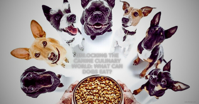 World What Can Dogs Eat